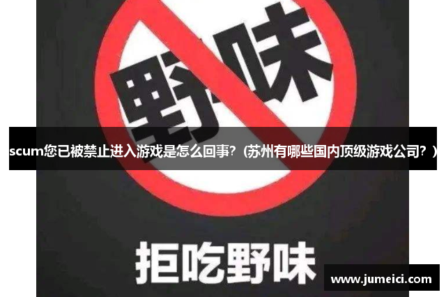 scum您已被禁止进入游戏是怎么回事？(苏州有哪些国内顶级游戏公司？)